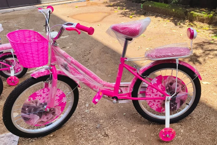Girls 20 inch Superior Ladies Bicycle for Kids 7-12 years