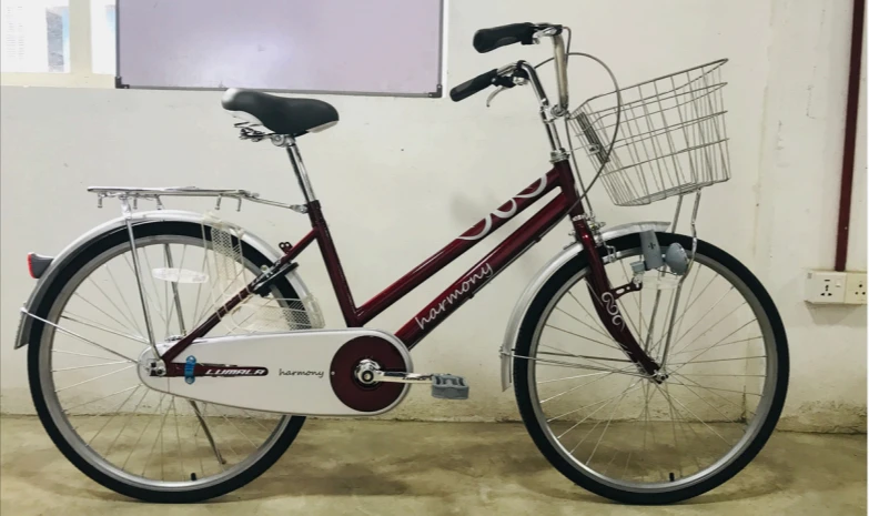 Lumala Lumala Bicycle for Teen Harmony 24" inch