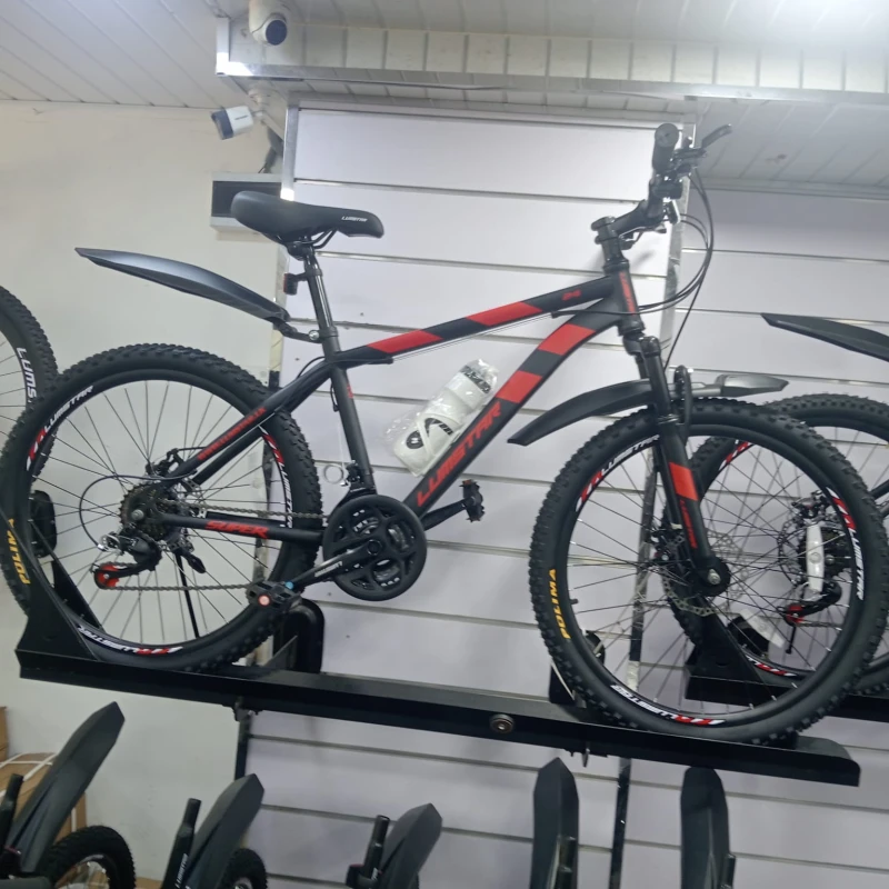 Teen Lumstar Bicycle Double Disk Front shock 24" inch cycle