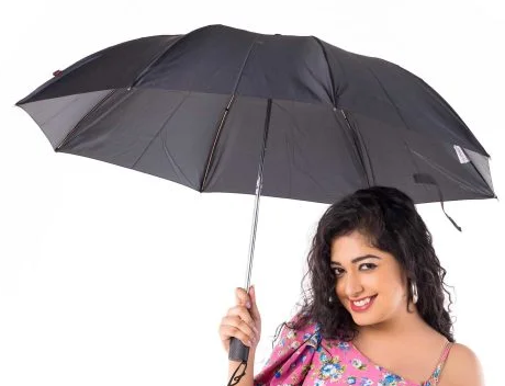 Regular Black Umbrella- 2 Fold