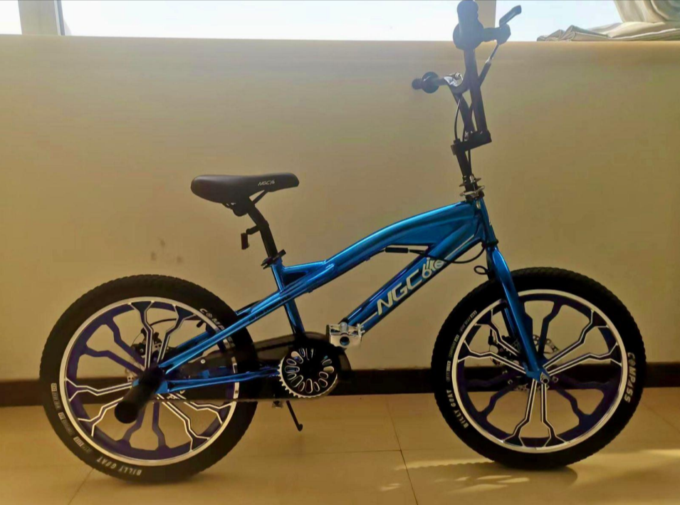 Best quality Freestyle NGC Bicycle 20" inch -153