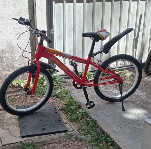 20" inch Safari MTB kids Bicycle for 8-12 years