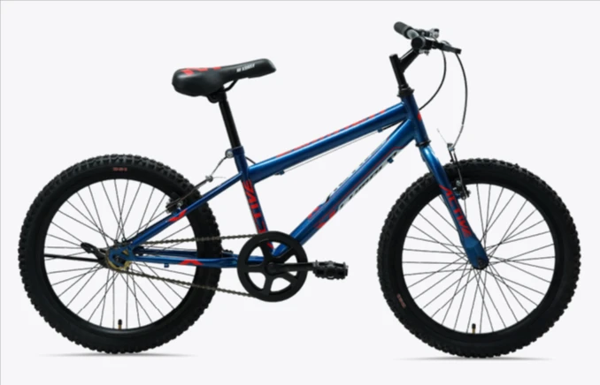 Lumala Bicycle for kids and free styles Active MTB 20" / ZING