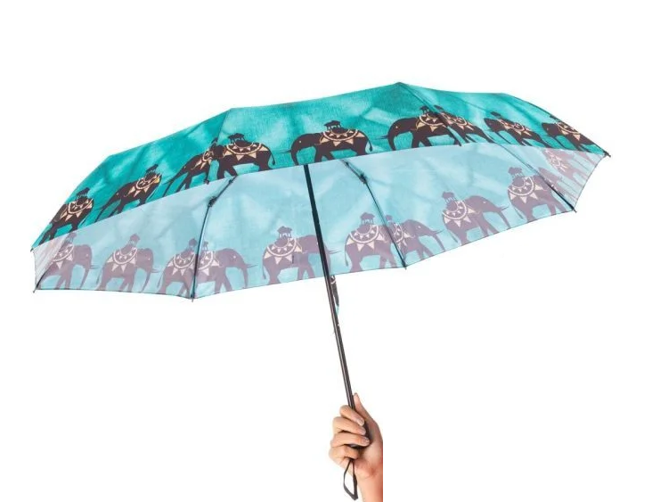 Avenika Umbrella Collection