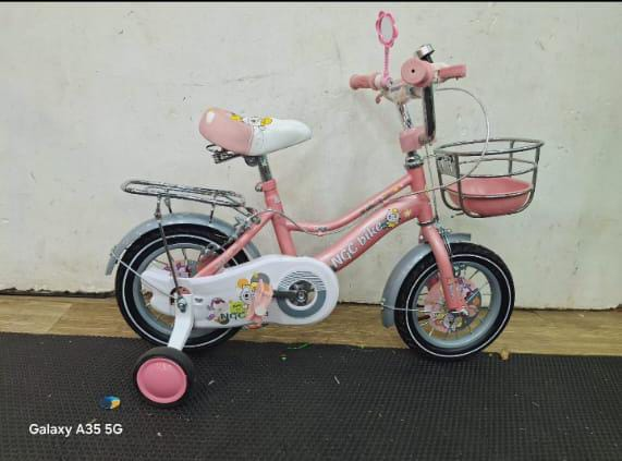 12 Ladies NGC Bicycle