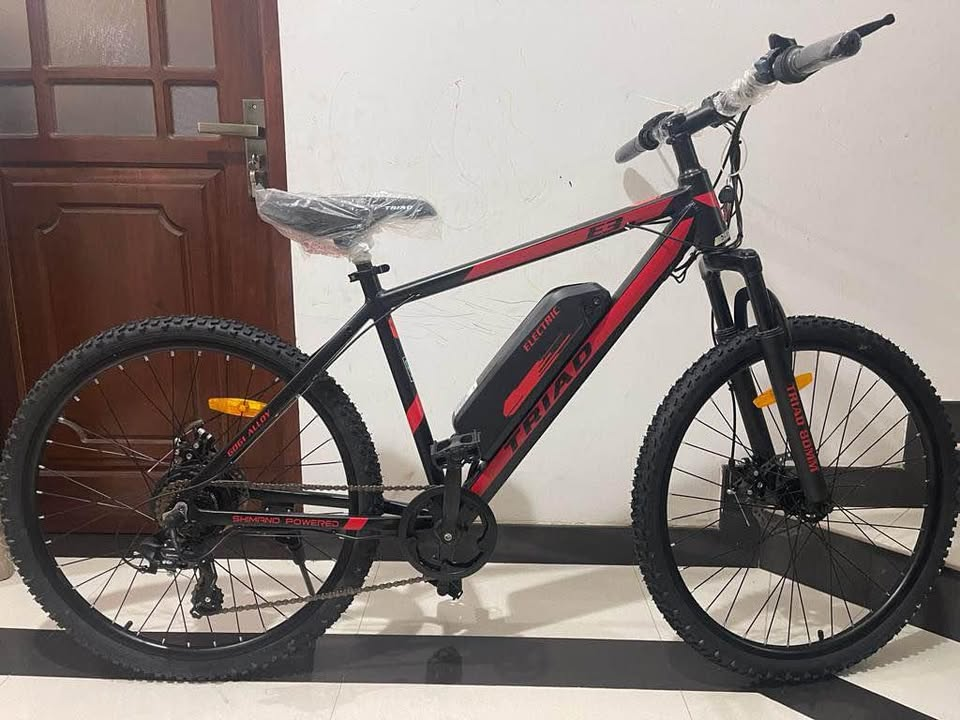Triad E 3 Pro Electric Bicycle
