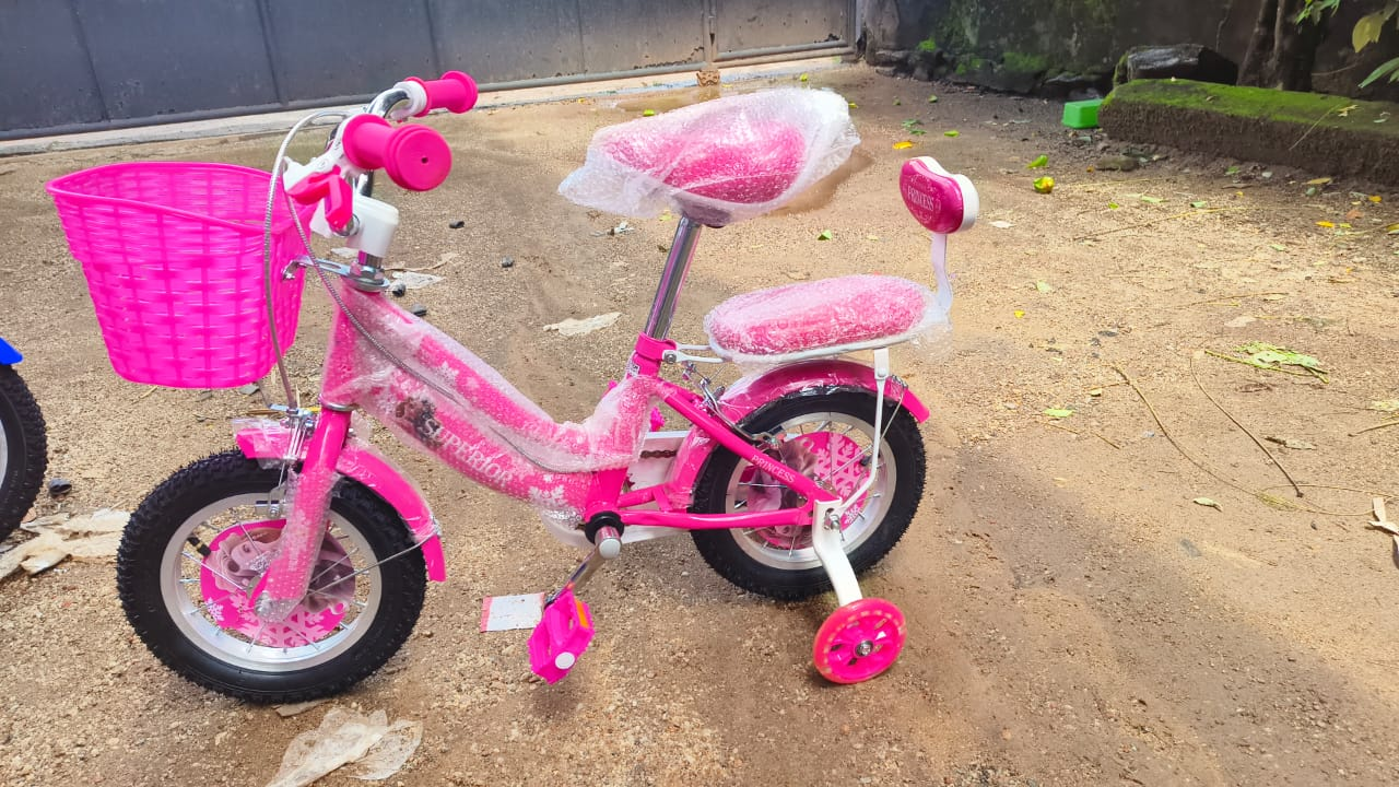 12 Ladies barbie Bicycle