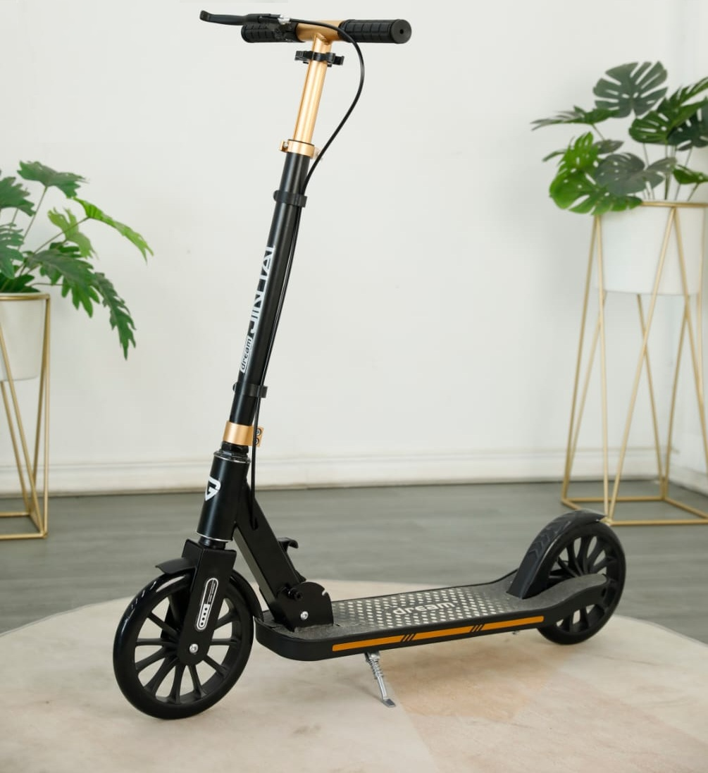 Heavy steel Scooter for Adults -Model T1