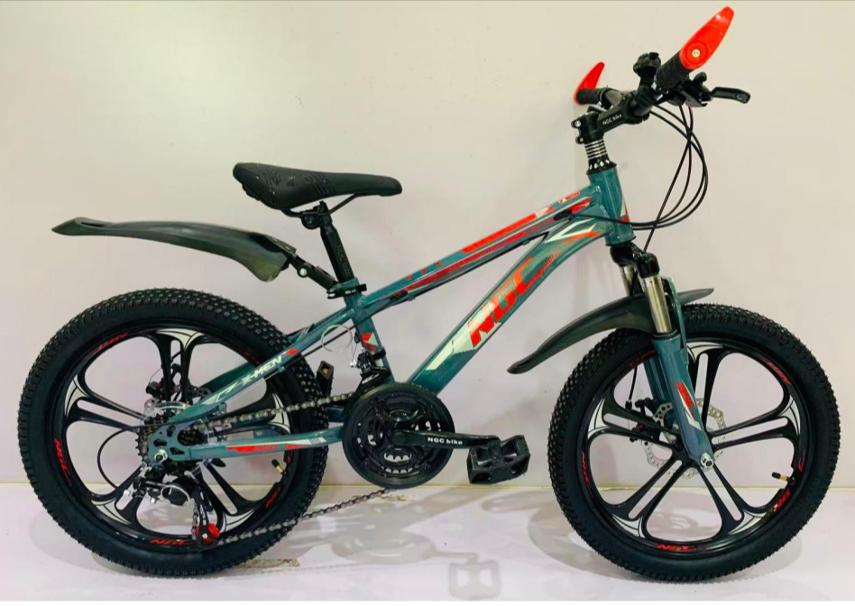 20" inch 21 Speed Gear Simano Mountain Bicycle