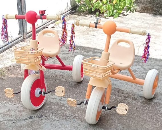 Tricycle 2010
