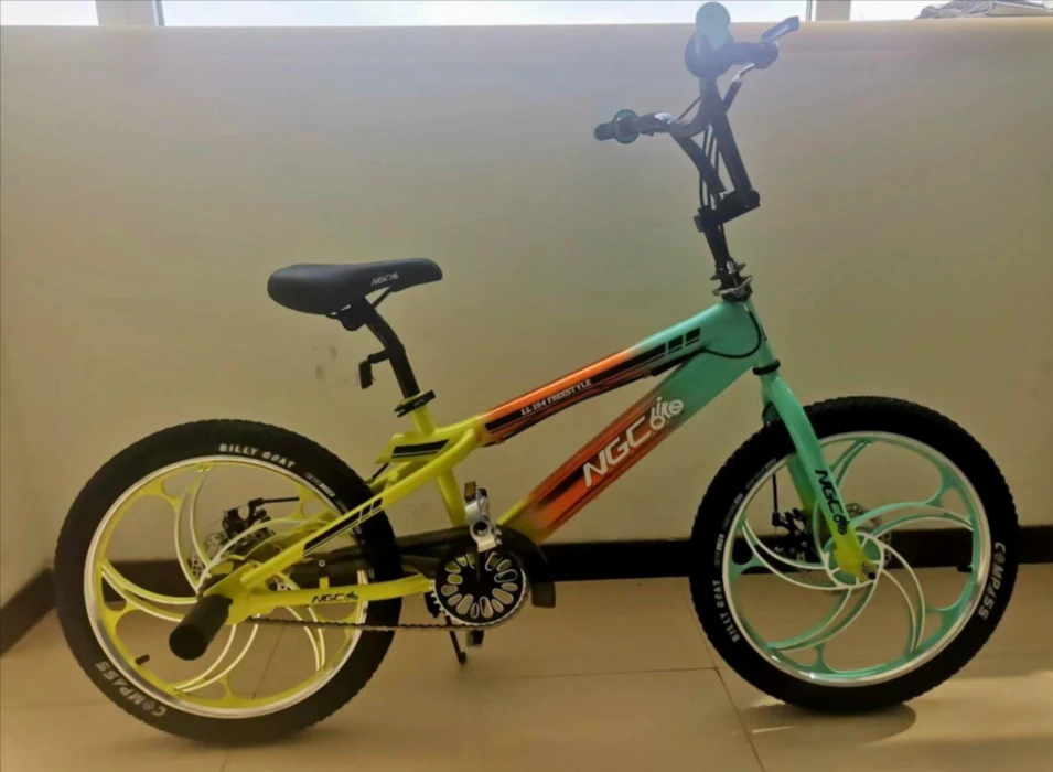 Best quality Freestyle NGC Bicycle 20" inch -154