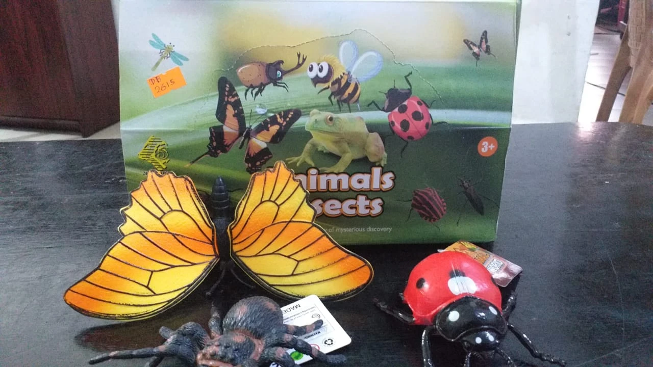 Animal toys - kids Insects toys
